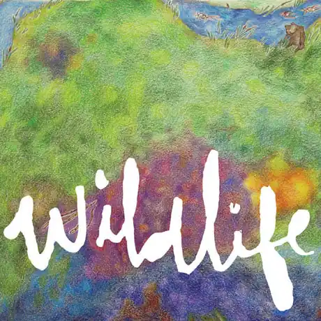 Cheap Wildlife