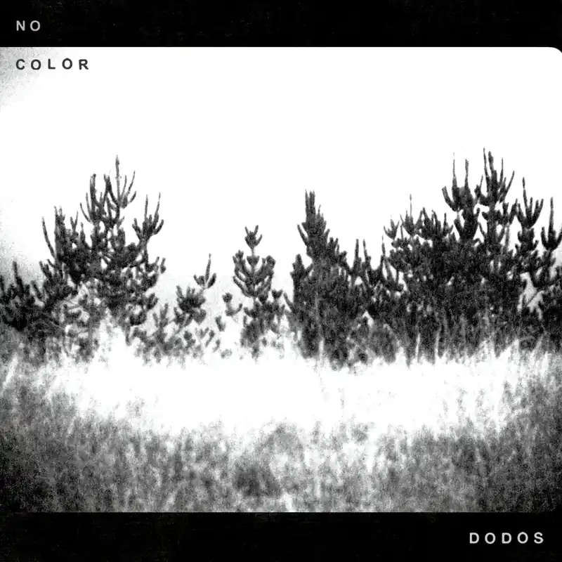 No Color Shop Now