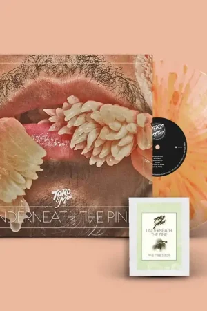 Next Day Delivery Toro Y Moi - Underneath the Pine (LP)