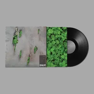 Express Delivery Koreless - Agor (LP)