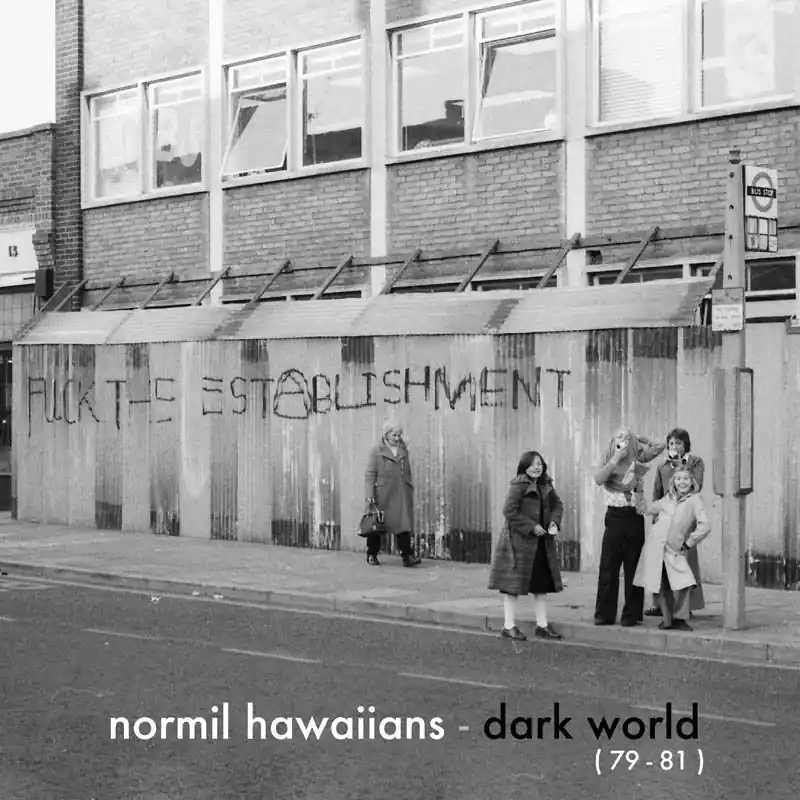 One Day Deal Normil Hawaiians - Dark World (LP)