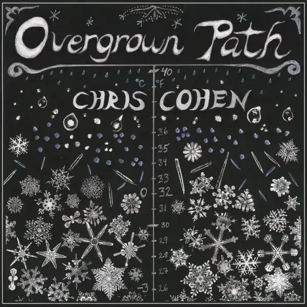 Sale Chris Cohen - Overgrown Path (LP)