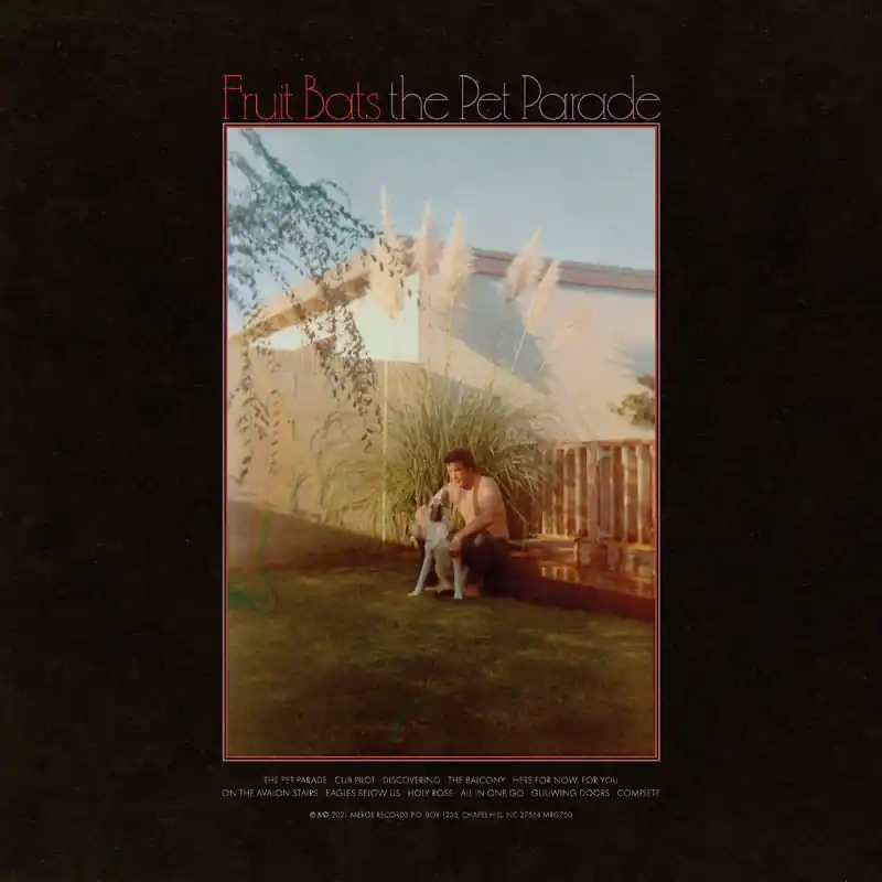 Discount Fruit Bats - Pet Parade (LP)