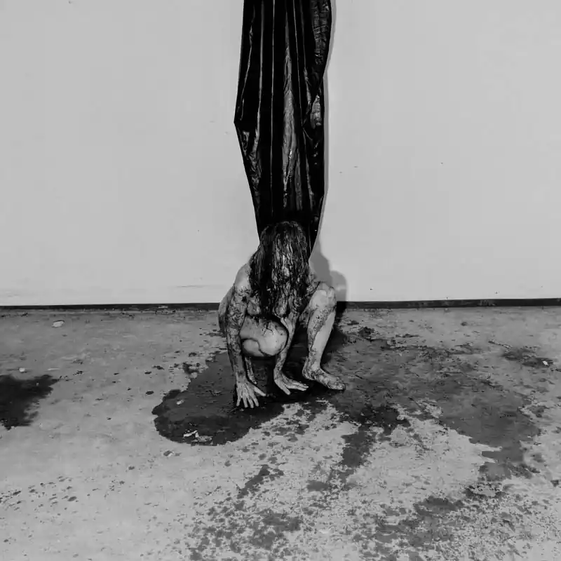 Hide - Interior Terror (LP) New Release