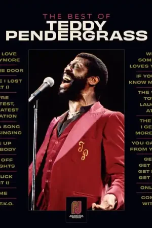 Teddy Pendergrass - The Best of Teddy Pendergrass (2 LPs) Bulk Order