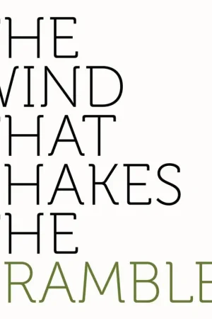 Peter Broderick - Wind That Shakes the Bramble (LP) Grab Now