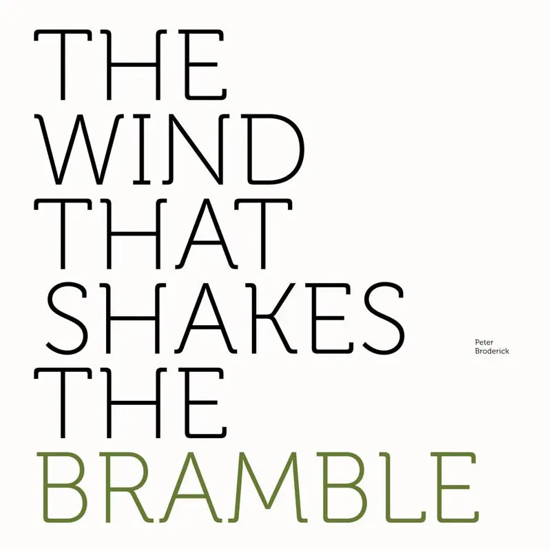 Peter Broderick - Wind That Shakes the Bramble (LP) Grab Now