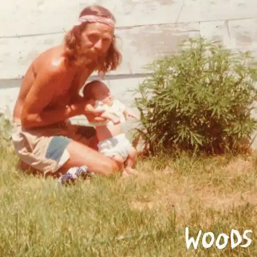 Popular Woods - Find Them Empty (Single)