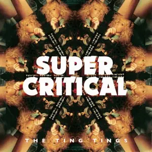 Direct From Manufacturer the Ting Tings - Super Critical (LP)