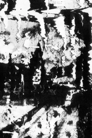 Budget Useless Eaters - Relaxing Death (LP)