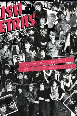 Bush Tetras - Rhythm and Paranoia: the Best of... (3 LPs) Deal