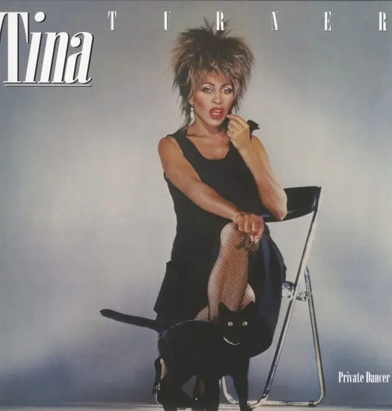 Next Day Delivery Tina Turner - Private Dancer (LP)