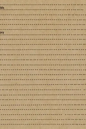 Olafur & Nils Frahm Arnalds - Life Story (Single) Discount