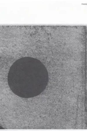 Masayoshi Fujita - Stories (LP) Grab Now