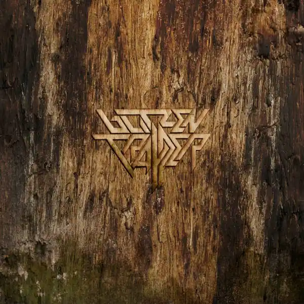 Blitzen Trapper - Furr (2 LPs) Shop Now