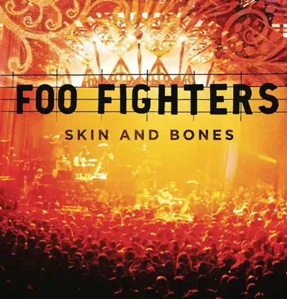 Buy Today Foo Fighters - Skin and Bones (2 LPs)