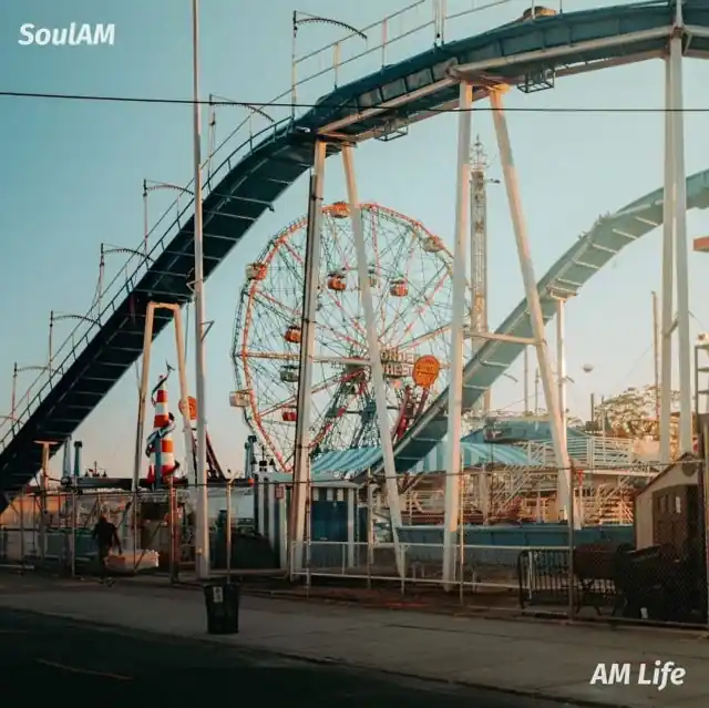 SOUL AM - AM LIFE (Vinyl LP) Shop Now