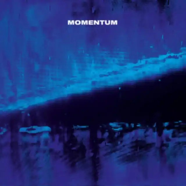 Trusted Brand DAVIZ,HUBERT - MOMENTUM (Vinyl LP)