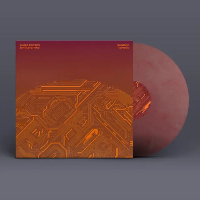 POTTER,CHRIS - SUNRISE REPRISE (Vinyl LP) Best Price