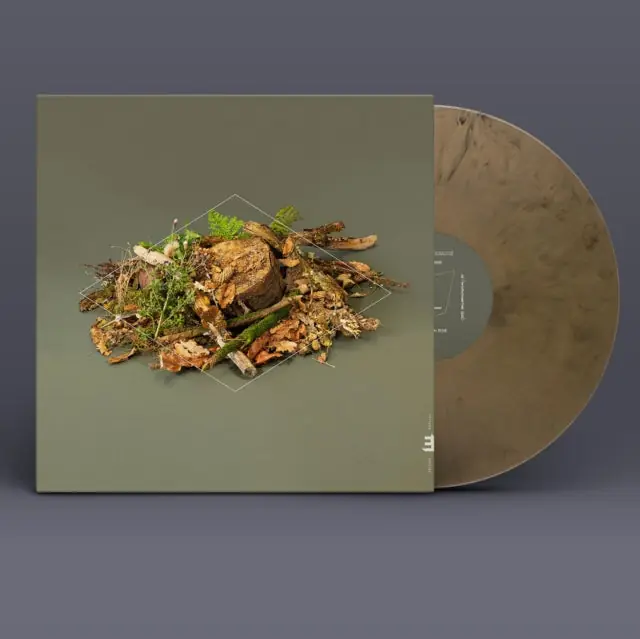 Seasonal Sale MCCREADIE,FERGUS - FOREST FLOOR (GOLD VINYL) (Vinyl LP)