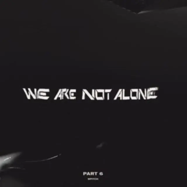 Limited Offer VARIOUS ARTISTS - WE ARE NOT ALONE - PART 6 (2LP) (Vinyl LP)