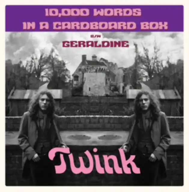 Deal TWINK - 10,000 WORDS IN A CARDBOARD BOX (Vinyl LP)
