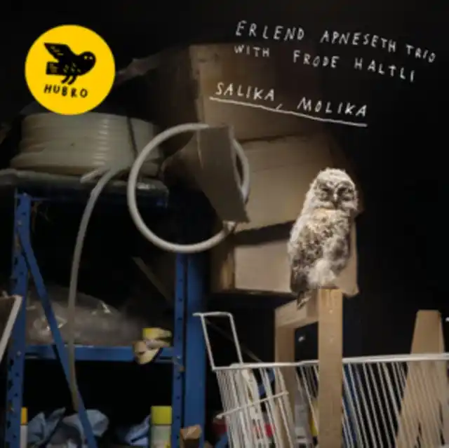 ERLEND APNESETH TRIO & FRODE HALTLI - SALIKA, MOLIKA (Vinyl LP) Special Discount